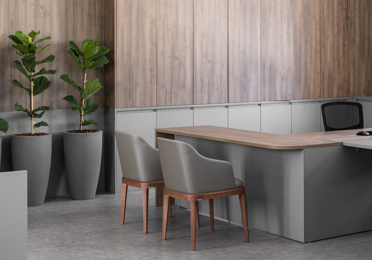 massessoria cnara_pizzi fotografia 121222 VA (26).jpg